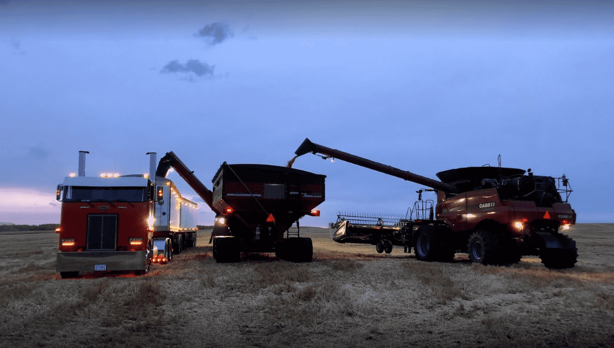 Three Hoppers operating in a field in the evening